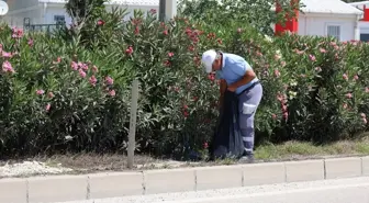 Hatay Büyükşehir Belediyesi Refüj ve Kaldırımlarda Temizlik Çalışması Yaptı