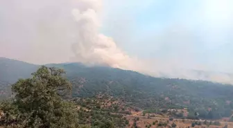 Manisa'da çıkan yangına müdahale eden ekip sayısı arttı