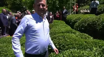 CHP Genel Başkanı Özgür Özel Rize'de çay hasadı yaptı