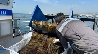 İzmit Körfezi'nde 7 Bin 950 Metreküp Deniz Çöpü Toplandı