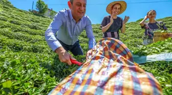 CHP Genel Başkanı Özgür Özel Rize'de Çay Mitingi Düzenledi