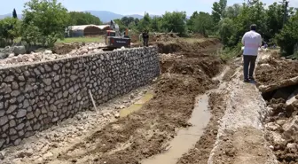 Yalova'da ıslah çalışması sırasında bulunan kaplumbağalar başka bir dereye nakledildi