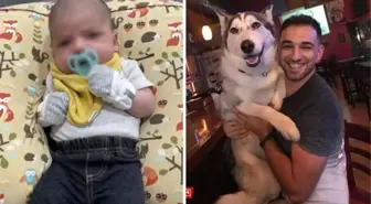 6 haftalık bebeğin korkunç sonu! 8 yıldır besledikleri köpek, bebeklerini paramparça etti