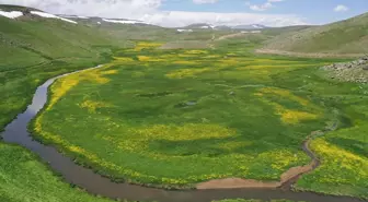 Ağrı'nın Taşlıçay ilçesindeki menderesler bahar çiçekleriyle süslendi