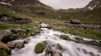 Erzurum-Rize sınırındaki yaylalar doğaseverleri bekliyor