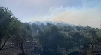 İzmir'in Bayındır ilçesinde çıkan yangın kontrol altına alındı