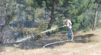 Çanakkale'de Tarım Arazisinde Çıkan Yangın Kontrol Altına Alındı