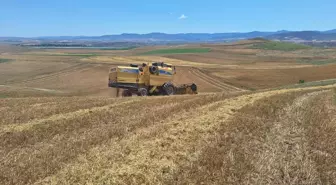 Çorum'un Bayat ilçesinde çiftçiler arpa hasadına başladı