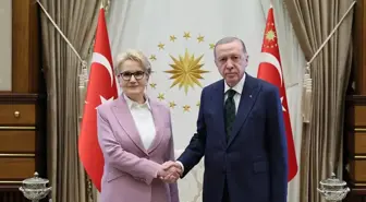 Cumhurbaşkanı Erdoğan, Meral Akşener'i kabul etti