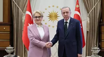 Cumhurbaşkanı Erdoğan, Meral Akşener ile ne görüştü? Hangi konular konuşuldu?