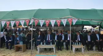 Malatya Yazıhan'da Hububat Hasat Bayramı düzenlendi