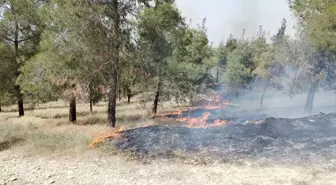 Denizli'de Ormanlık Alanda Çıkan Yangın Kontrol Altına Alınmaya Çalışılıyor