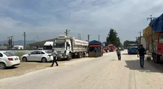 Düzce'de Kurbanlık Satışı Yavaş