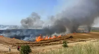Edirne'de 110 Dönümlük Buğday Tarlası Yandı