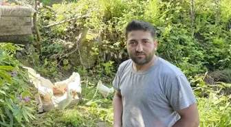 Rize'de tavukları ayılardan korumak için ilkel teleferik hattı kuruldu