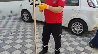 Bilecik'te Yakalanan Yılanlar Doğaya Bırakıldı
