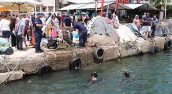 Küçükkuyu'da Deniz Temizliği Etkinliği Gerçekleştirildi