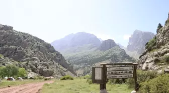 Niğde'de Aladağlar-Bolkar Dağları Foto Safari Yarışması