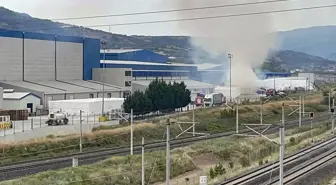 Sakarya'da kağıt fabrikasında çıkan yangın söndürüldü