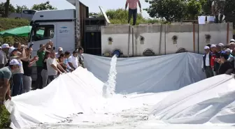 Tarım ve Orman Bakanlığı, Su Kaynaklarının Balıklandırılması Projesiyle 100 Milyon Yavru Balık Üretti