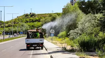 Van'da Sinek ve Haşere İlaçlama Çalışmaları Devam Ediyor