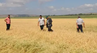 Yozgat köylerinde dolu hasara neden oldu