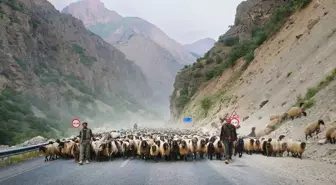 Göçerler Hakkari'ye ulaştı