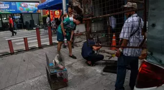 Bangkok'taki Hayvan Pazarında Çıkan Yangında Binlerce Hayvan Öldü