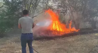 Bilecik'te Göksu Nehri kenarında çıkan yangın kısa sürede söndürüldü