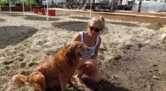 Ak Partili Bezirhane Belediye Başkanı Özcan Vefat Etti