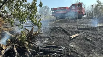 Çanakkale'de Köyde Çıkan Ot Yangını Kontrol Altına Alındı