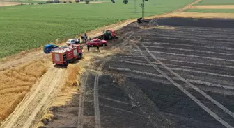 Edirne'de Tarlada Çıkan Yangında 20 Dönüm Buğday Yandı