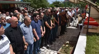 Trafik kazasında hayatını kaybeden doktor Ordu'da defnedildi