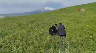 2006 Kayıt Dışı Ekonomiyle Mücadelede Milat Oldu