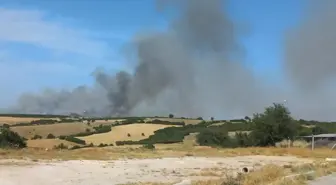 Çanakkale'de Tarım Arazisinde Çıkan Yangın Söndürülmeye Çalışılıyor