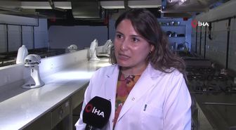 Milletvekilinden 'Mutluluk Ormanı' Teklifi