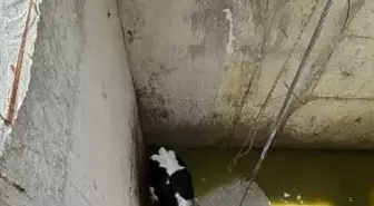 Orgeneral Büyükanıt'ın Basın Toplantısı