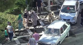 Karayolu'na Çıkan İnekler, Kazalara Davetiye Çıkarıyor