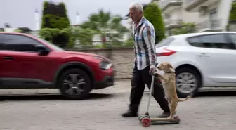 78 Yaşındaki Adam Köpeğini Skuter ile Gezdiriyor