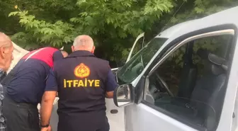 Uluslararası Dans ve Çocuk Festivali