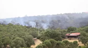 Balıkesir İvrindi'de Orman Yangını Kontrol Altına Alınmaya Çalışılıyor