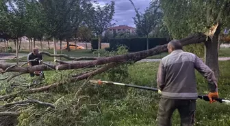 Çorum'da Şiddetli Rüzgar ve Sağanak Sonucu 3 Ağaç Devrildi, 1 Binanın Çatısı Uçtu