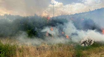 Zıco, Deniz, Tümer, Semih ve Deıvıd'e As Takımda Yer Vermedi
