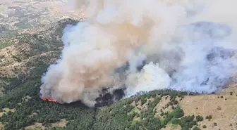 Denizli'nin Babadağ ilçesinde orman yangını çıktı