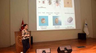 Mersin'de Kaçak Akaryakıt Operasyonu