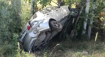 Köpeğin Yola Çıkması Sonucu Meydana Gelen Kazada Sürücü Yaralandı