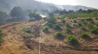 Mardin'in 3 ilçesinde çıkan örtü yangınları söndürüldü