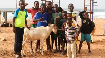 Senegal'de Kurban Bayramı'na Hazırlık Devam Ediyor