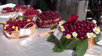 Hizan'da Kavga: 1 Yaralı