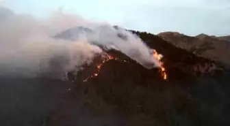 Airties, 3'üncü Kez Türk Telekom İhalesini Kazandı